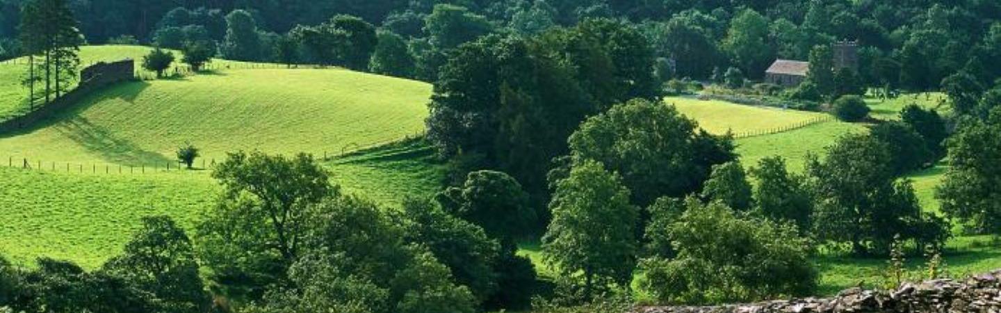 Countryside