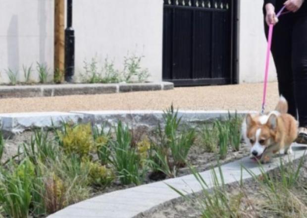 Pocket park