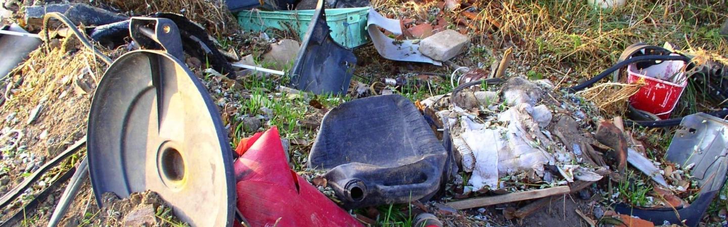 Image shows rubbish dumped on grass